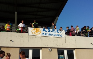 Ekiden Loire Layon - 7 septembre 2014