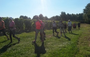 Reprise de la Marche Nordique.............force  2 !