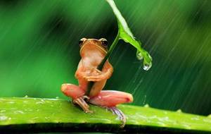 1ère sortie ASEC de l'Annee