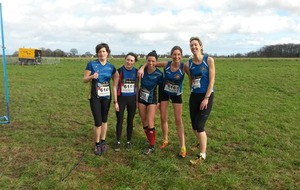 Départementaux de cross  à St Sylvain