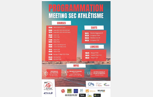 Meeting des Sables d'Olonne