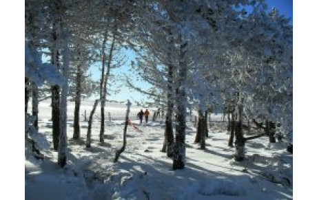 Trail Blanc du Sancy