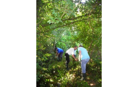 Débroussaillage Trail des Moulins