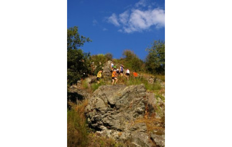 Tous les résultats du Trail des Moulins 