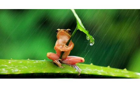 1ère sortie ASEC de l'Annee