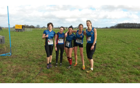 Départementaux de cross  à St Sylvain