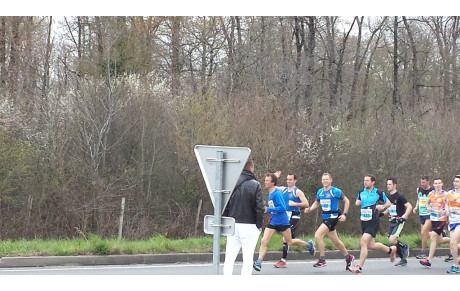 Nuaillé 2016 - 8 Kms nature et semi marathon