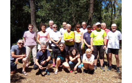 sortie marche nordique Olonnes sur Mer